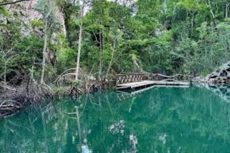 Private: Explore Los Haitises National Park Day Trip - Key Points