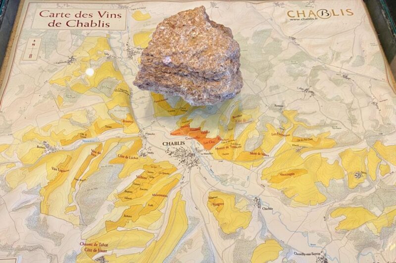 Private Exquisite Red & White Burgundy Wines Trip from Paris - In Summary