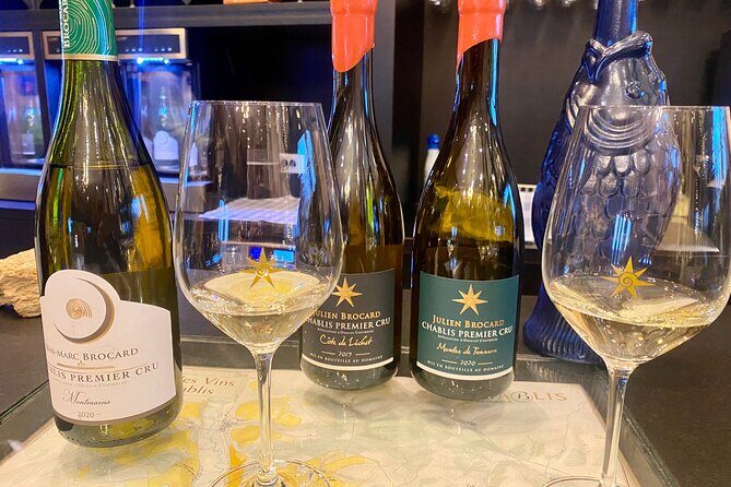Private Exquisite Red & White Burgundy Wines Trip from Paris - A Private Burgundy Wine Tour from Paris: What’s It All About?