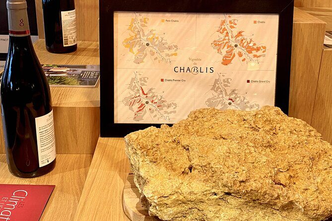 Private Exquisite Red & White Burgundy Wines Trip from Paris - The Sum Up: Is This Tour for You?