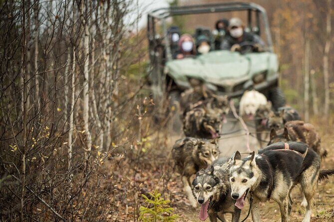 Private Fall Foliage Mushing Cart Ride in Fairbanks - FAQs