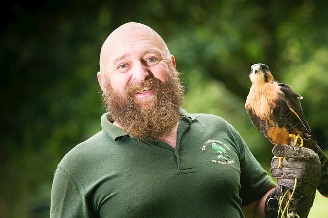 Private Family Bird of Prey Experience in Carlisle - An In-Depth Look at the Family Bird of Prey Experience in Carlisle