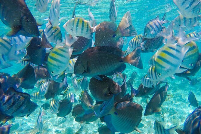 Private Family Catamaran From Isla Mujeres - An In-Depth Look at the Isla Mujeres Catamaran Tour