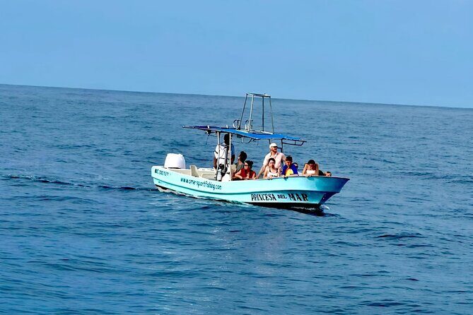 Private Family Dolphin and Whale Tour in Puerto Escondido - Who Is This Tour Best For?