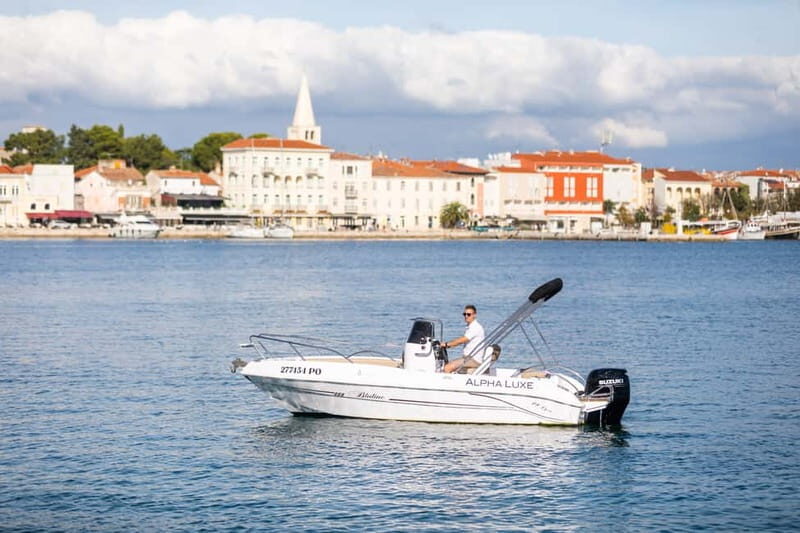 Private Family Dolphin Tour in Pore - A Practical Look at the Private Family Dolphin Tour in Pore