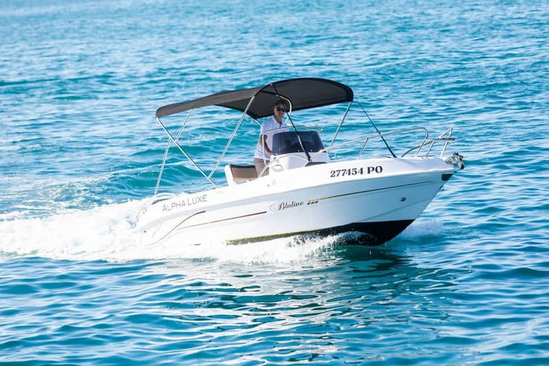 Private Family Dolphin Tour in Pore - The Experience of Seeing Dolphins in the Wild