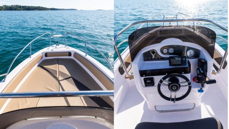 Private Family Dolphin Tour in Pore - Pricing and Value: Is It Worth It?