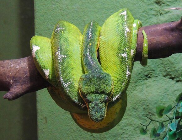 Private Family Fun with Kids tour in Rio: Including the Christ - Key Points