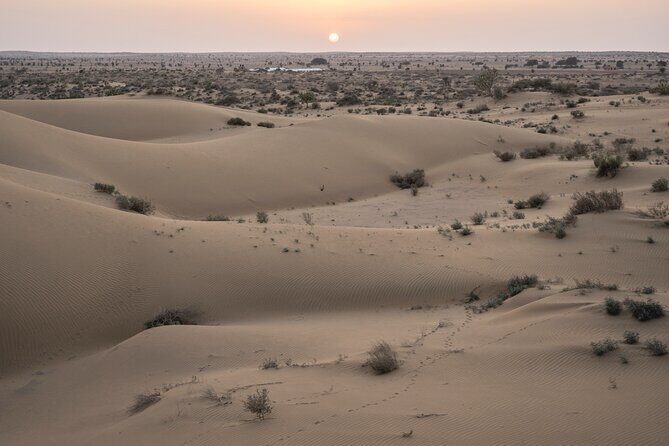Private Family Tour in Jaisalmer - Key Points