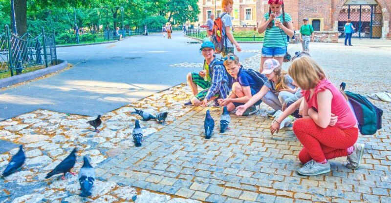 Private Family Tour of Krakow Old Town with Cruise Tickets - Key Points