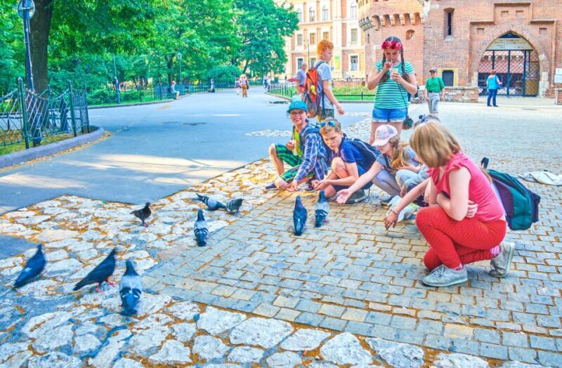 Private Family Tour of Krakow Old Town with Cruise Tickets - Practical Details and What to Expect