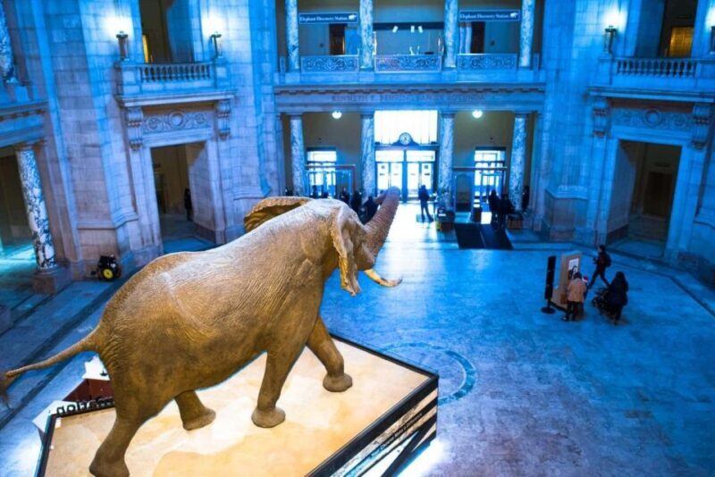 Private Family walking tour in Washington - FAQ