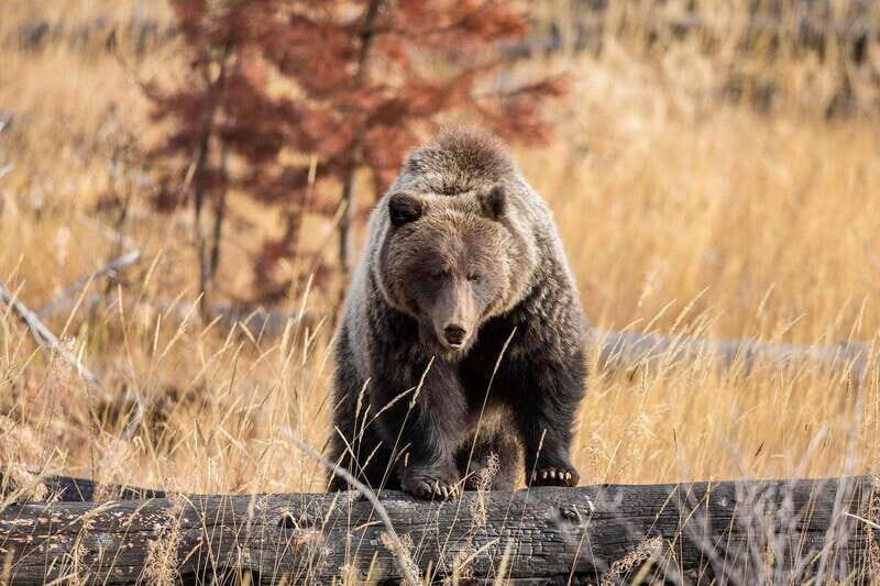 Private: Famous MOVIES + MOUNTAINS Photo Safari Drive - 4hrs - Who Should Consider This Tour?