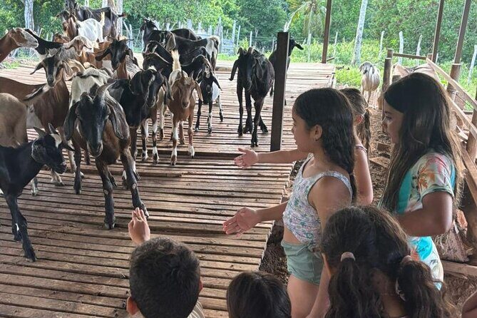 Private Farm-to-Table Dominican Cooking Class near Punta Cana - Quick Overview of the Private Farm-to-Table Dominican Cooking Class