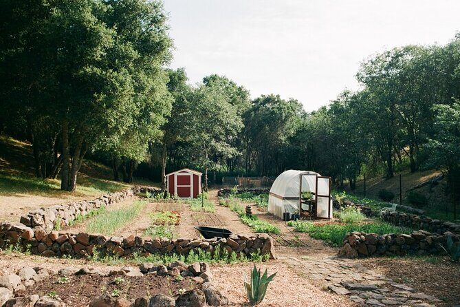 Private Farm Workshop in Napa Valley - Private Farm Workshop in Napa Valley: An Authentic Green Escape