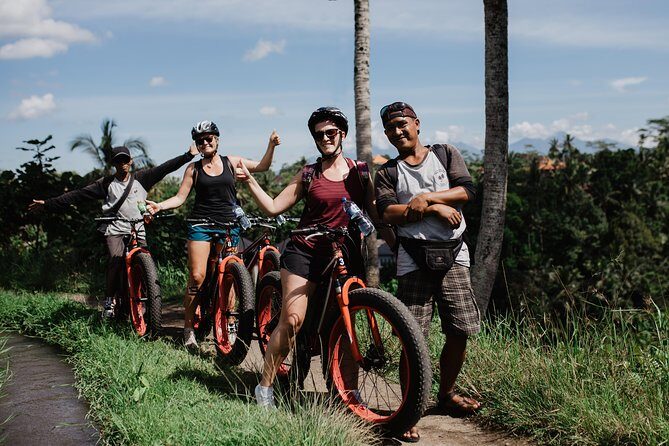 Private Fat Tire E-Bike Tour in Ubud - A Close Look at the Ubud E-Bike Tour Experience