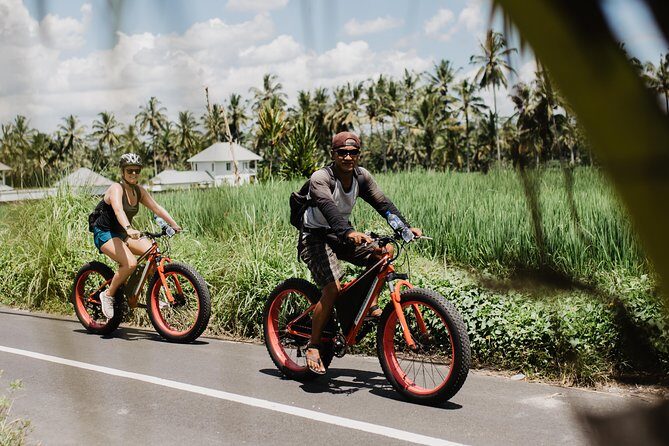 Private Fat Tire E-Bike Tour in Ubud - Authentic Experiences and Genuine Insights