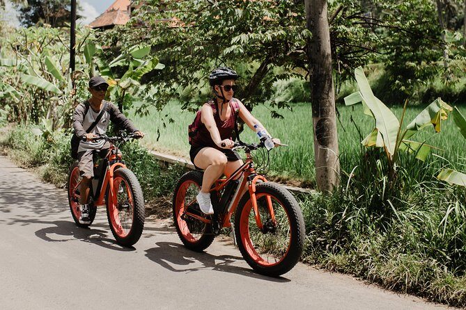 Private Fat Tire E-Bike Tour in Ubud - Who Should Book This Tour?