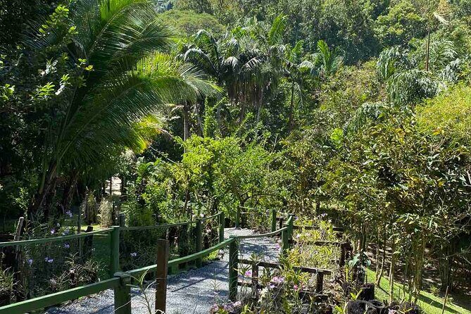 Private Fiji Tour - A Deep Dive into the Fiji Tour Experience
