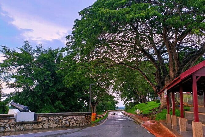 Private Fireflies Tour with Blue Tears and Seafood Dinner - Key Points