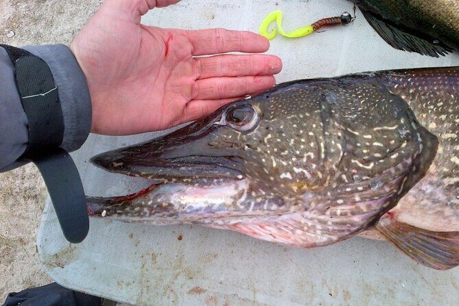 Private Fishing Adventure on the St. Lawrence River - The Value of This Experience