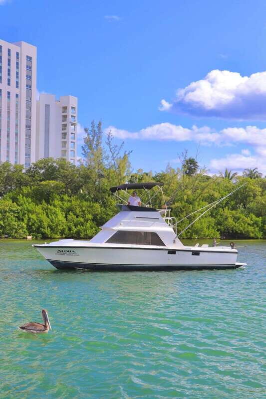 Private fishing charter 31 feet for maximun 6 people - Final Thoughts: Is It Worth It?