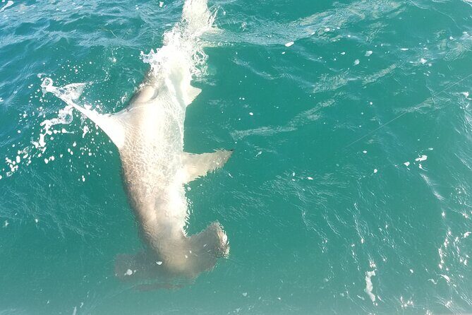 Private Fishing Charter Florida Keys - What’s Included and What’s Not