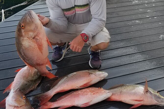 Private Fishing Charter Florida Keys - Who Will Love This Tour?