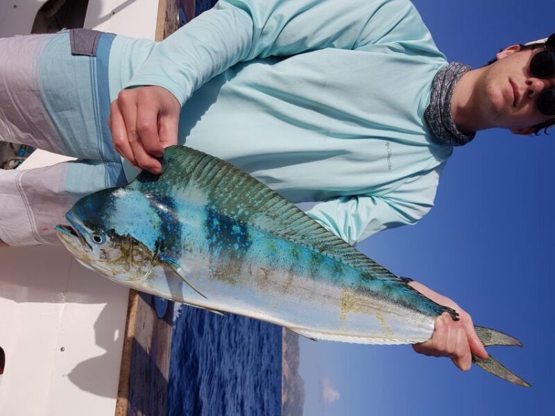 Private Fishing Charter Mallorca - Who Should Consider This Tour?
