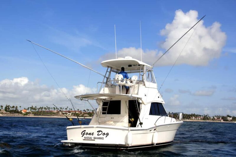 Private Fishing Charters "Gone Dog" 37' boat offshore trip - Setting Sail: What to Expect on the "Gone Dog" Fishing Trip