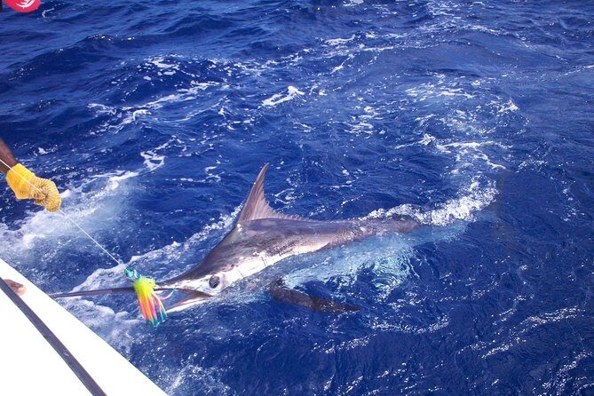Private Fishing in St Lucia Charters - Discover the Best of St. Lucia’s Waters with Private Fishing Charters