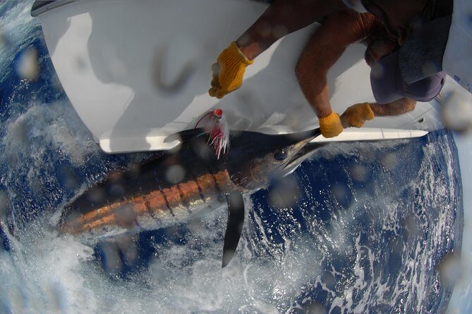 Private Fishing in St Lucia Charters - In The Sum Up