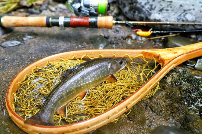 Private Fishing & Nature Experience in Hokkaido - The Sum Up: Who Should Book This Tour?