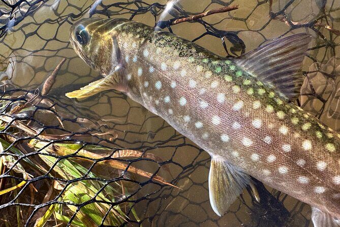 Private Fishing & Nature Experience in Hokkaido - FAQ