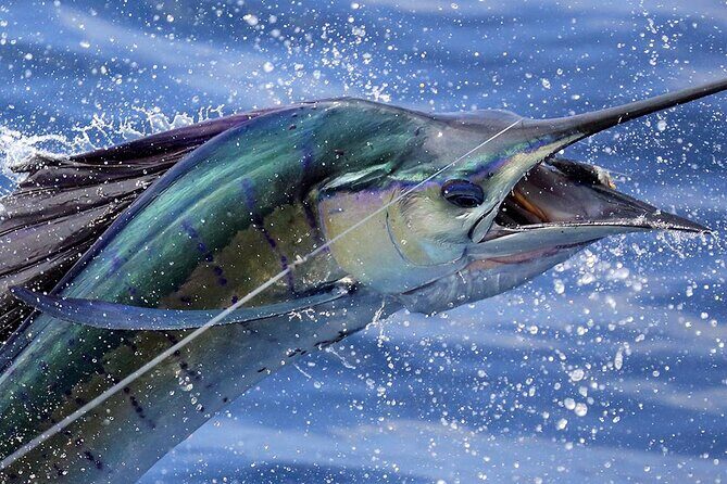 Private Fishing & Snorkel Charters in St Kitts and Nevis - Discover the Authentic Charm of Private Fishing & Snorkel Charters in St Kitts and Nevis