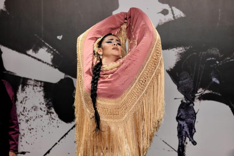 Private flamenco show in the center of Seville (Max 30 pax) - FAQ