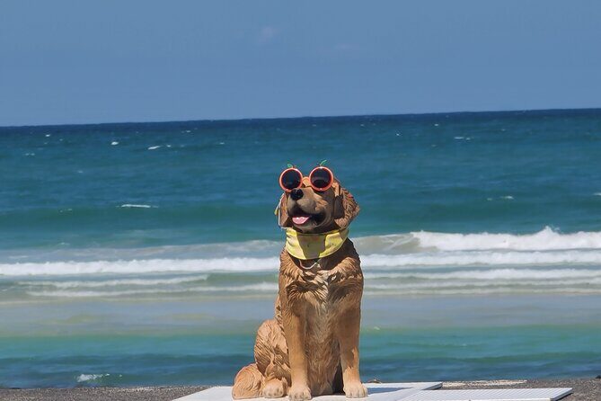 PRIVATE Flexible Tour Cruise Ship international ferry terminal - Who Will Love This Tour?