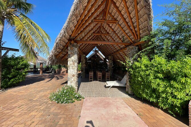 Private Foco Tonal Sound Experience Cabo & San José Pickup - Who Should Consider This Experience