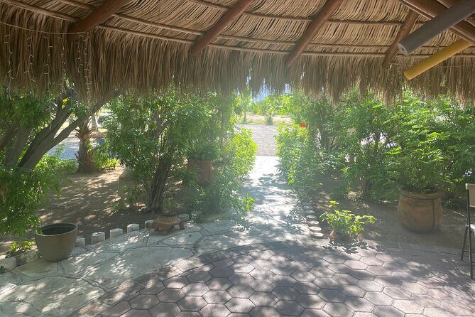 Private Foco Tonal Sound Experience Cabo & San José Pickup - FAQ