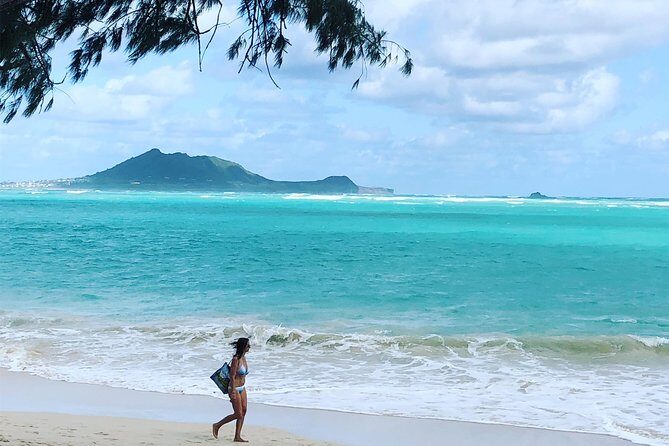 Private Fond Farewell Oahu Last Day Tour - Exploring the Details of the Private Farewell Tour