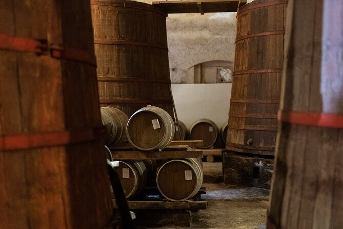 Private Food and Wine Tour in the Cellar with Tastings - Final Thoughts