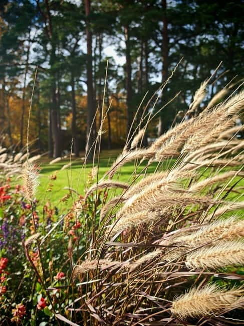 Private Forest Mind Tour in Tampere - An In-Depth Look at the Forest Mind Tour in Tampere