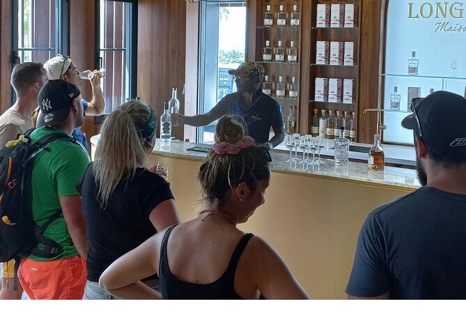 Private French Caribbean Rum Tour with Tastings - A Deep Dive into the Guadeloupe Rum Experience