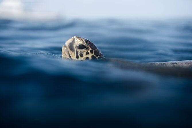 Private Friday Night Sunset & Fireworks Tour: 6 person max - Why This Tour Offers Value