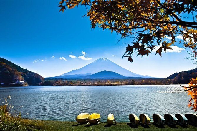 Private Fuji Hakone Tour Charter with English Speaking Driver - A Closer Look at the Experience