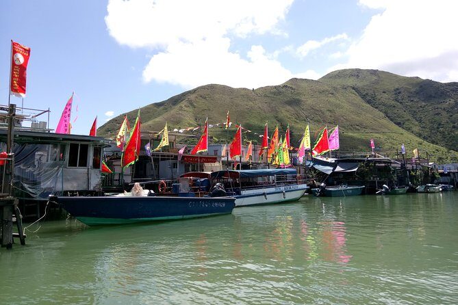 Private Full Day 9-Hour Driving Tour of Lantau from Hong Kong - Key Points