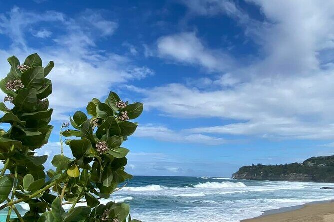 Private Full Day Aguadilla Sightseeing Tour - Final Thoughts