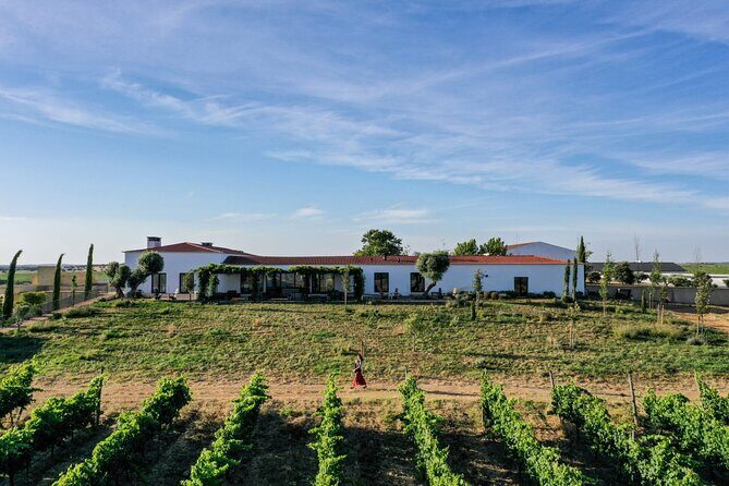 Private Full-Day Alentejo Wine Tour - A Memorable Day Exploring Portugal’s Alentejo Wine Region