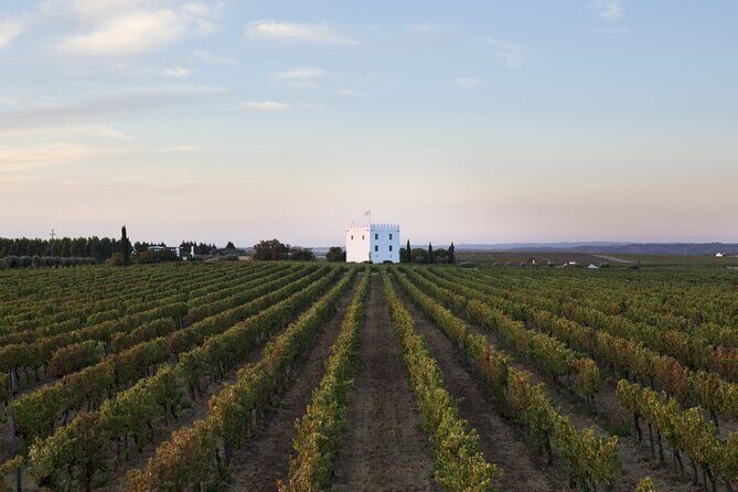 Private Full-Day Alentejo Wine Tour - Key Points