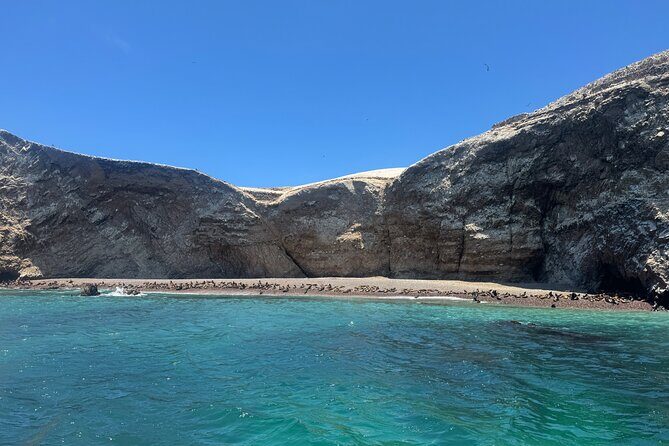 Private Full Day All Inclusive in Paracas, Huacachina and Vineyards - Final Thoughts